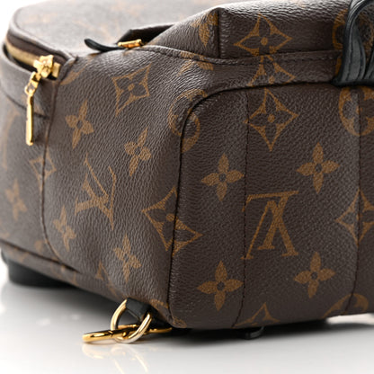 Louis Vuitton LOUIS VUITTON Monogram Palm Springs Backpack Mini 9 of 14