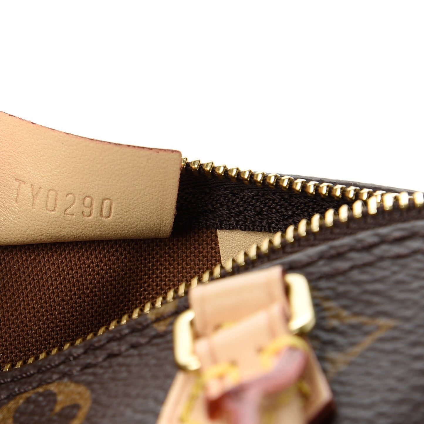 Monogram Nano Speedy