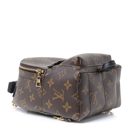 Louis Vuitton Monogram Palm Springs Backpack Mini 3 of 4