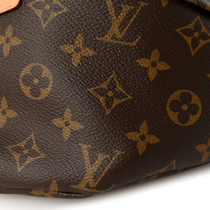 Louis Vuitton Monogram Bumbag 9 of 9
