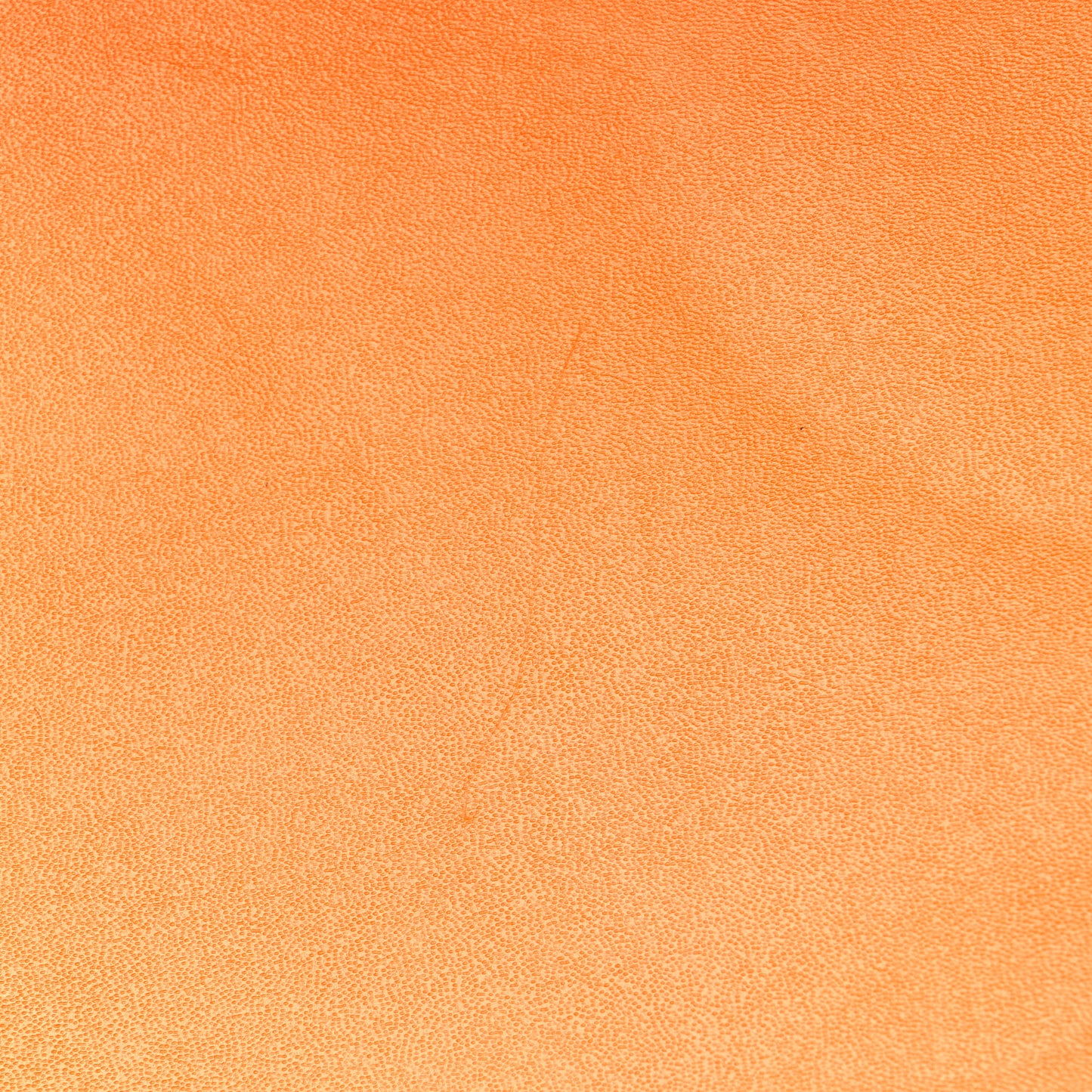 Vitello King Tamponato Plexiglass Medium Fendi Sunshine Shopper Tote Clementine