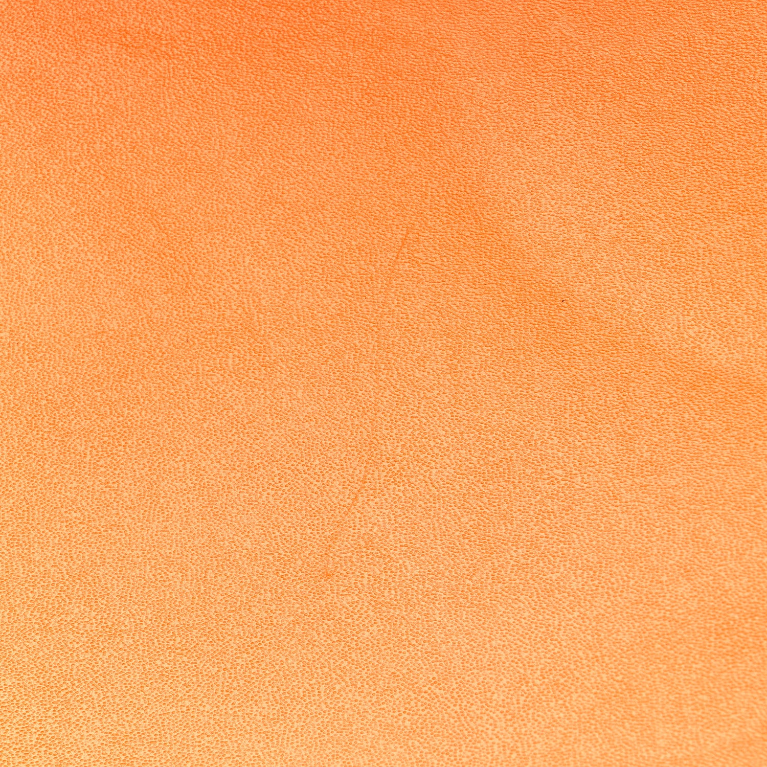 Fendi Vitello King Tamponato Plexiglass Medium Fendi Sunshine Shopper Tote Clementine 14 of 18