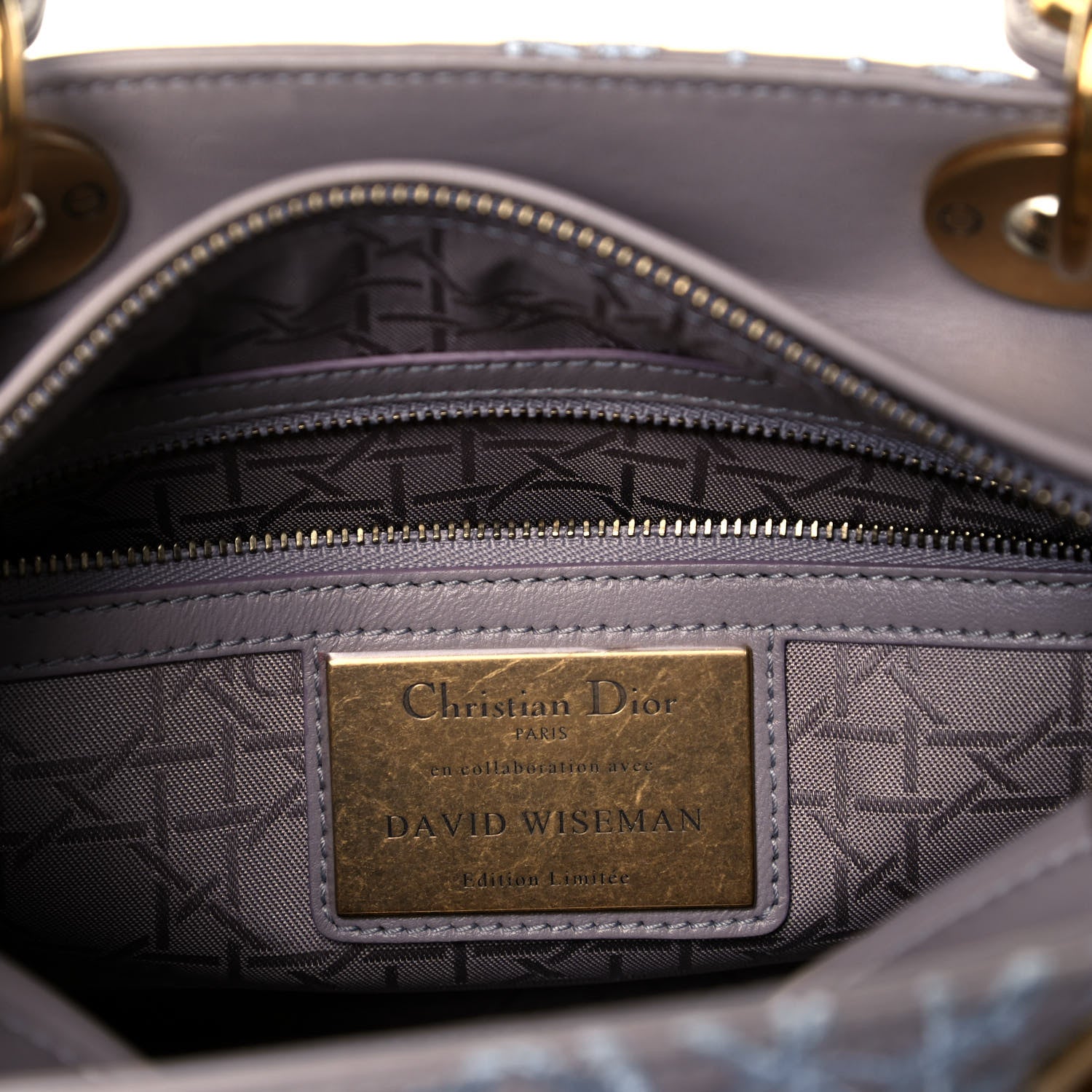 Christian Dior Lambskin Embroidered David Wiseman Medium Art Lady Dior Light Grey 5 of 8