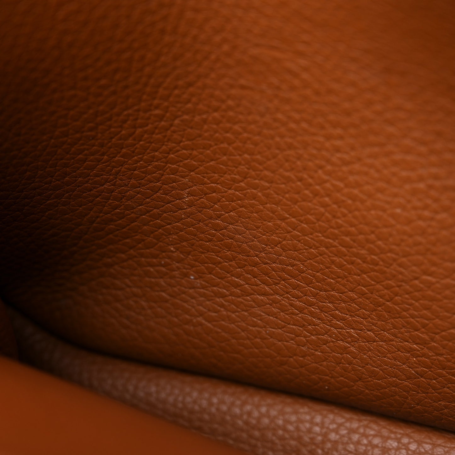 Taurillon Clemence Halzan 31 Gold