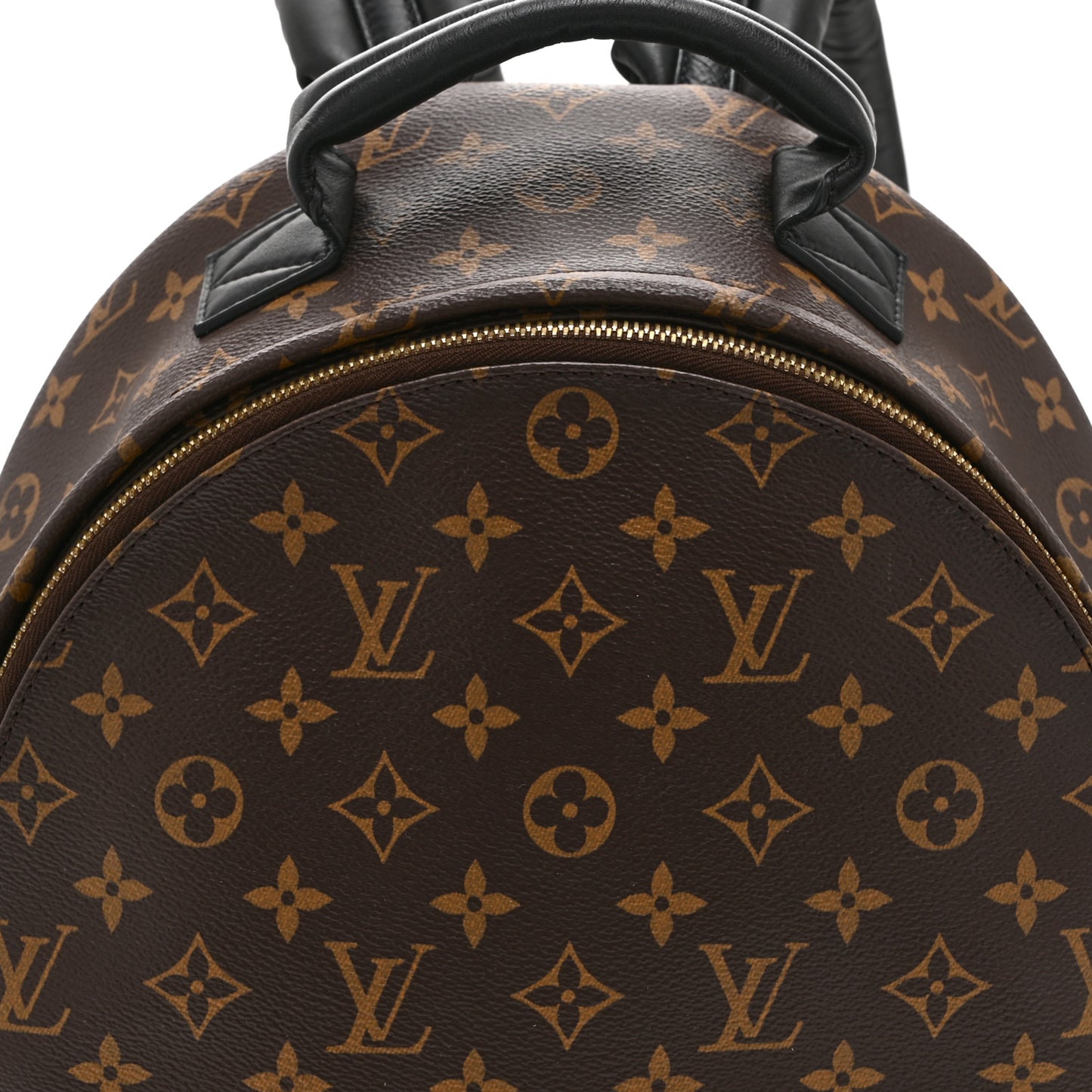 Monogram Palm Springs Backpack MM