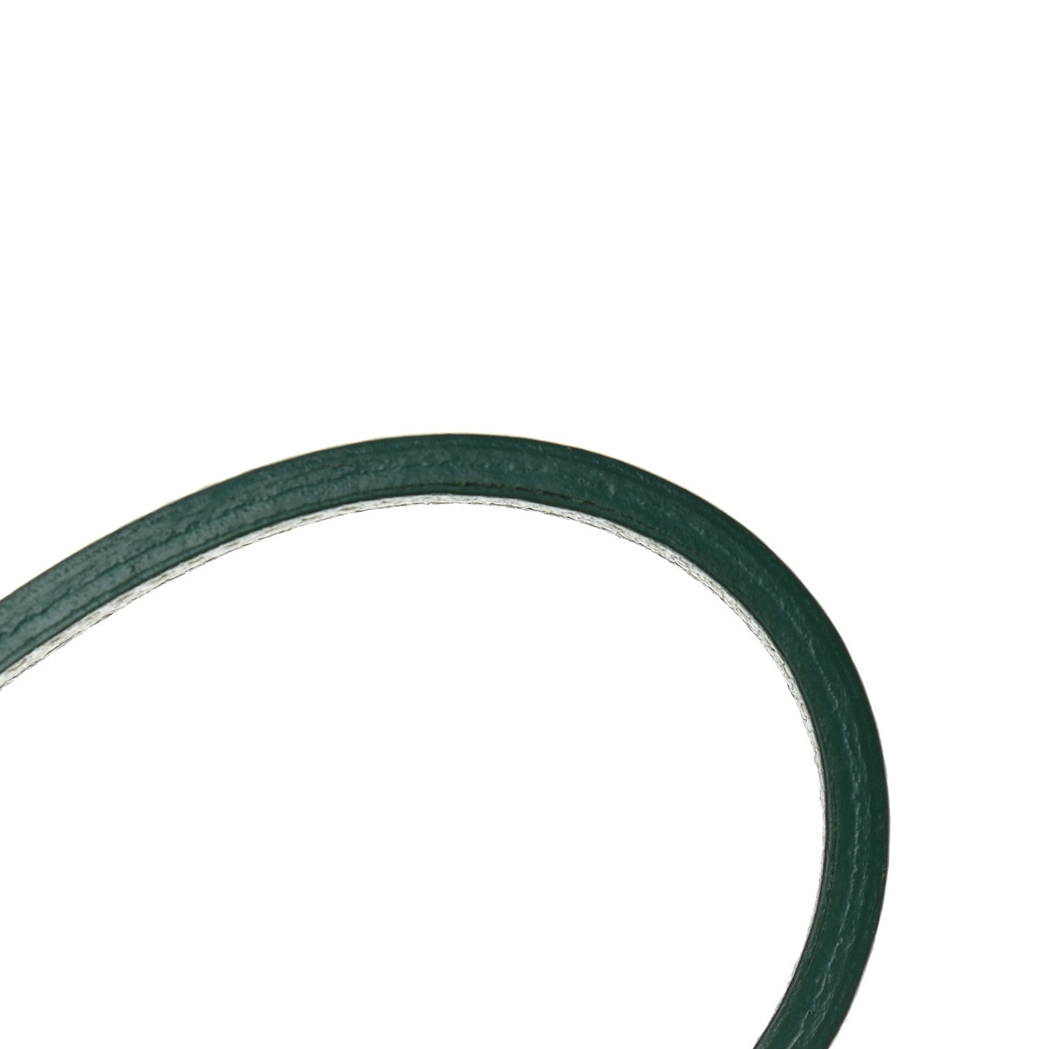 Goyard Goyardine Saint Louis PM Green 11 of 12