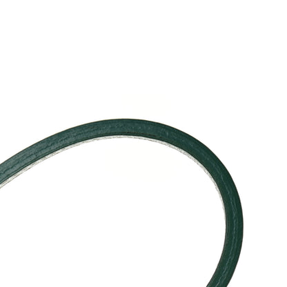 Goyard Goyardine Saint Louis PM Green 11 of 12