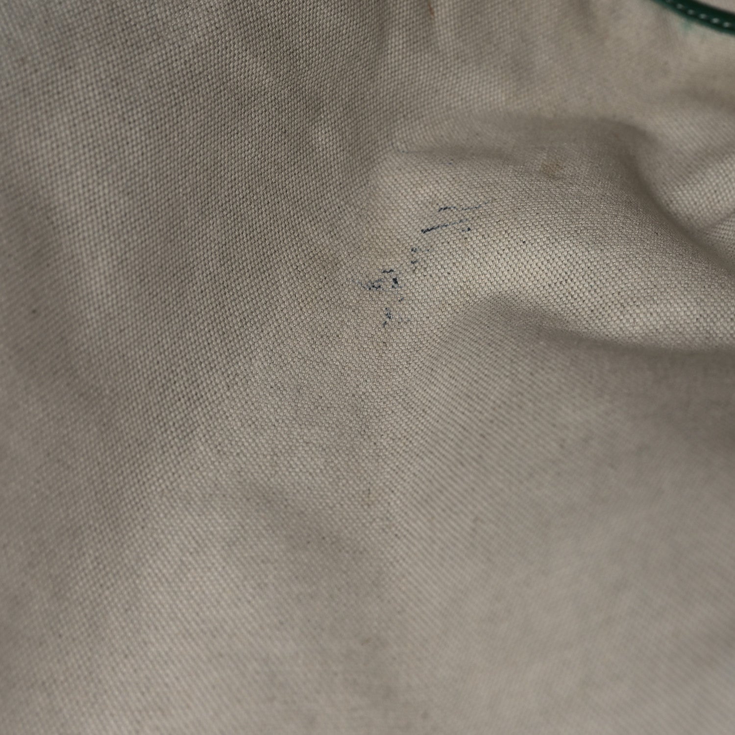 Goyard Goyardine Saint Louis GM Green 12 of 12