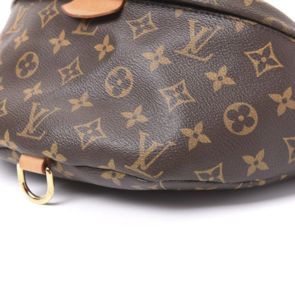 Louis Vuitton Monogram Bumbag 6 of 10
