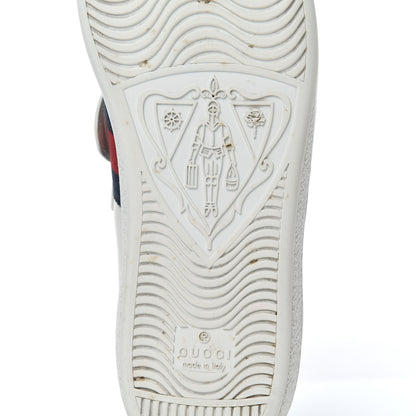 Gucci Calfskin Ayers Web Womens Ace Bow Lace Sneakers 37.5 White 7 of 21