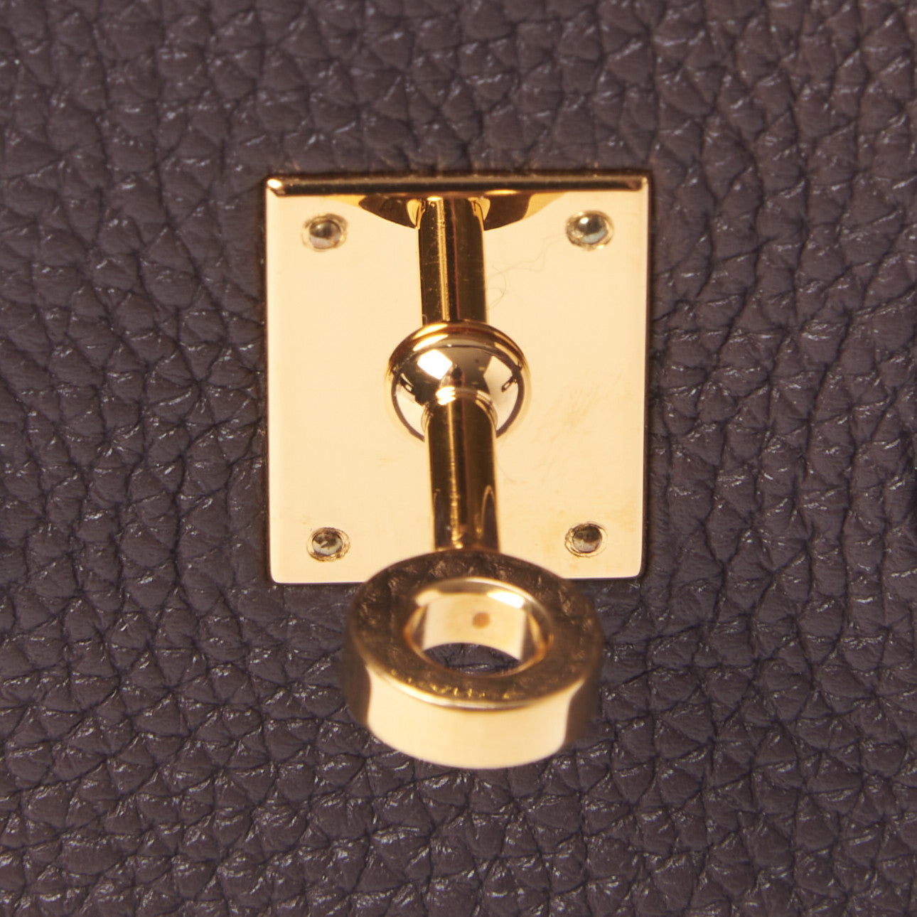 Togo Birkin 25 Chocolate