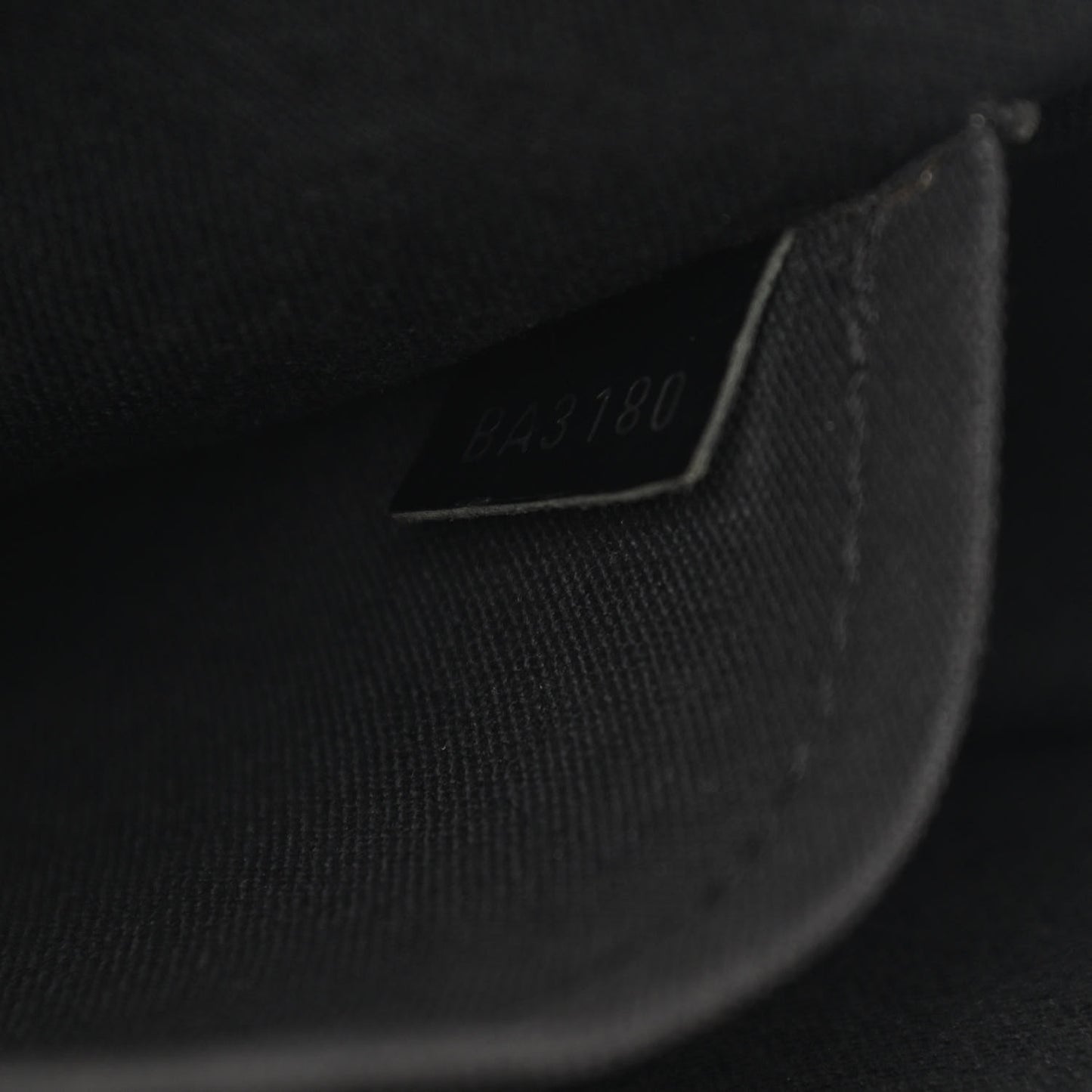 Taiga Andrei Ardoise