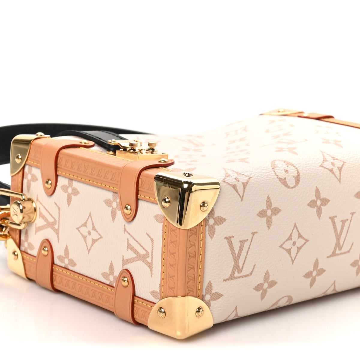 Monogram Dune Side Trunk
