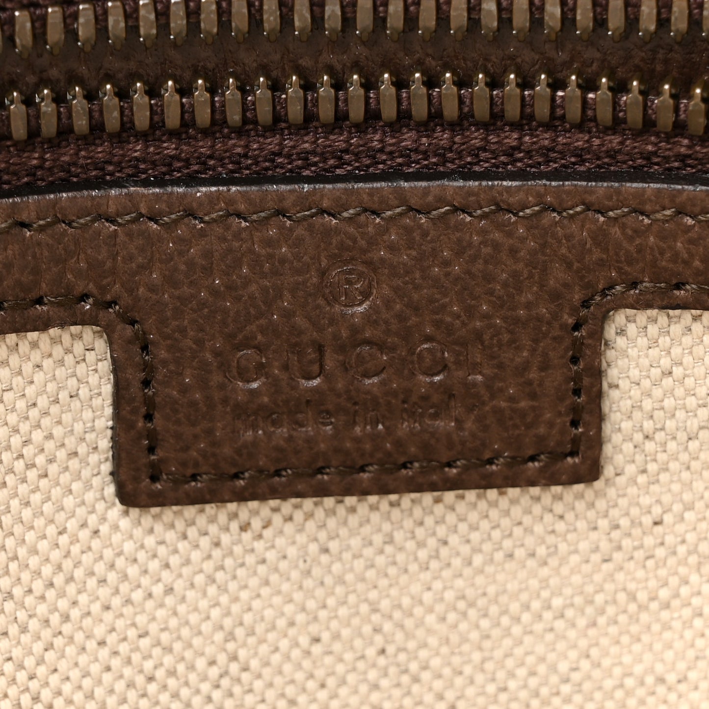 GG Supreme Monogram Web Small Ophidia Half Moon Hobo Brown