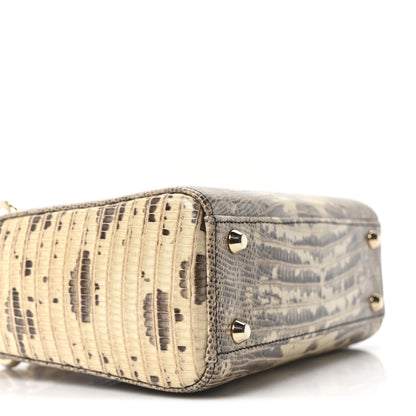 Christian Dior Lizard Ombre Mini Lady Dior 9 of 10