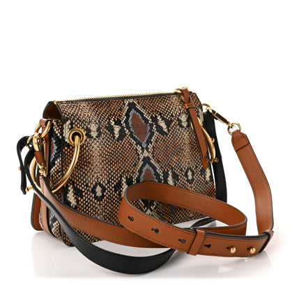 Chloe Calfskin Snakeskin Embossed Small Roy Bag Multicolor 3 of 9