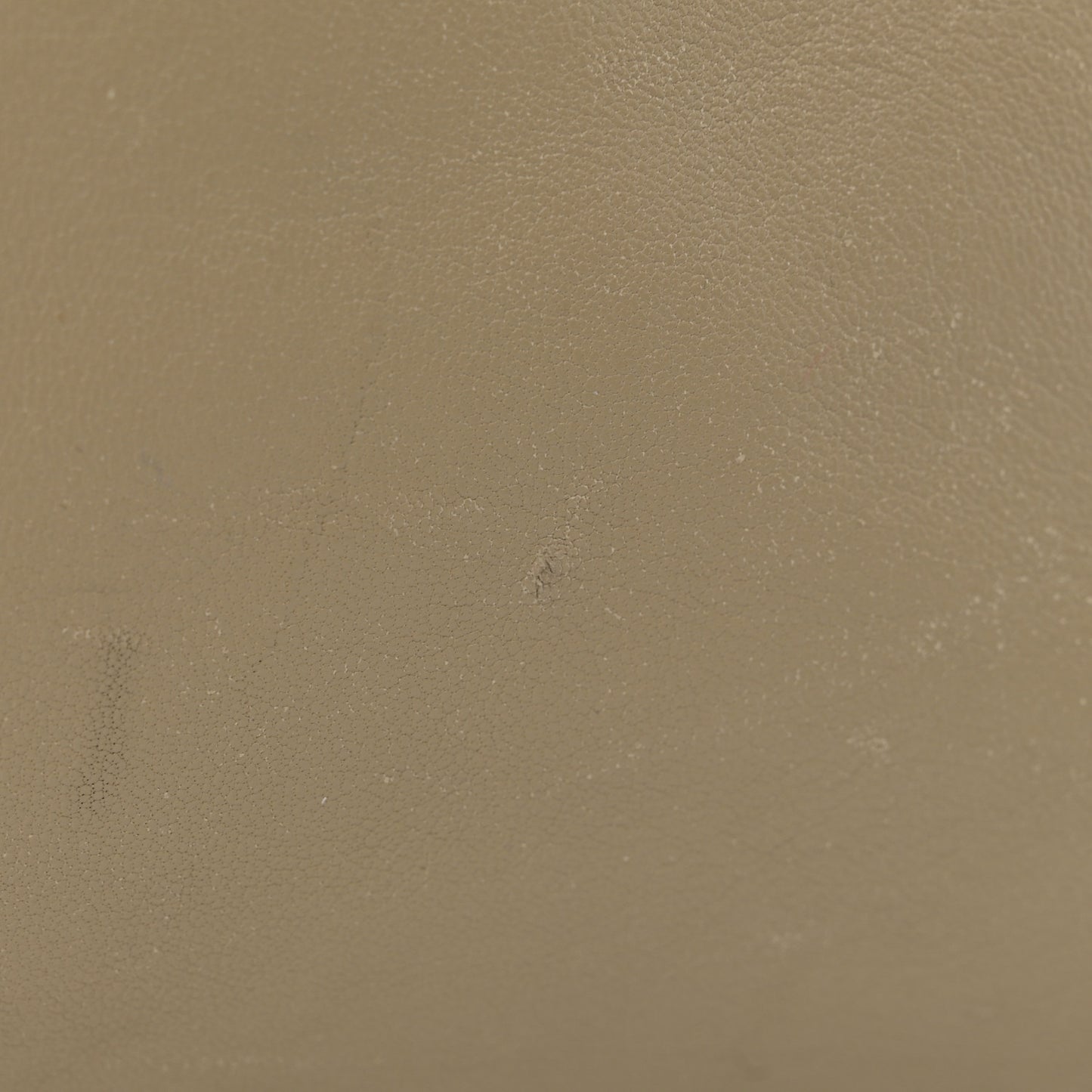 Lambskin Horizontal Cabas Beige