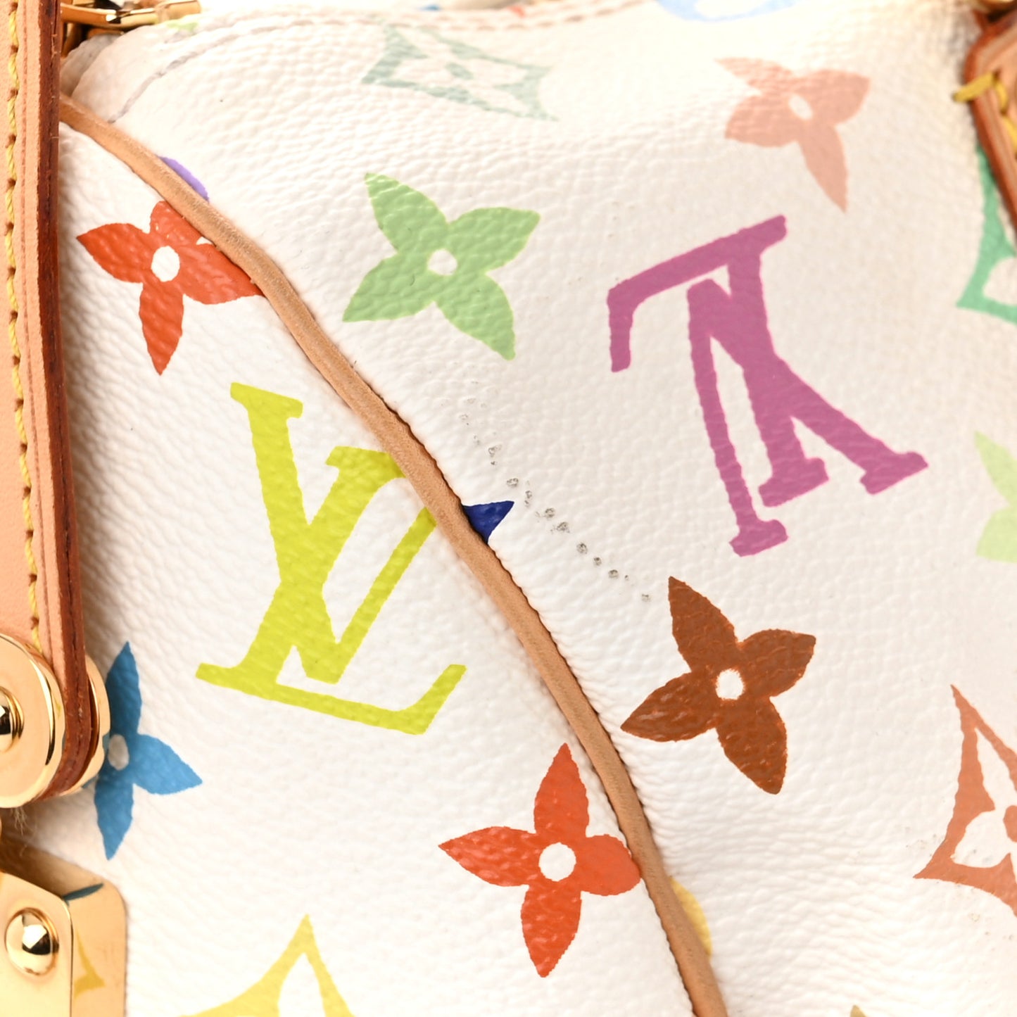 Monogram Multicolor Speedy 30 White