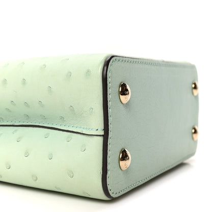 Louis Vuitton Ostrich Capucines Mini Vert Celadon 8 of 10