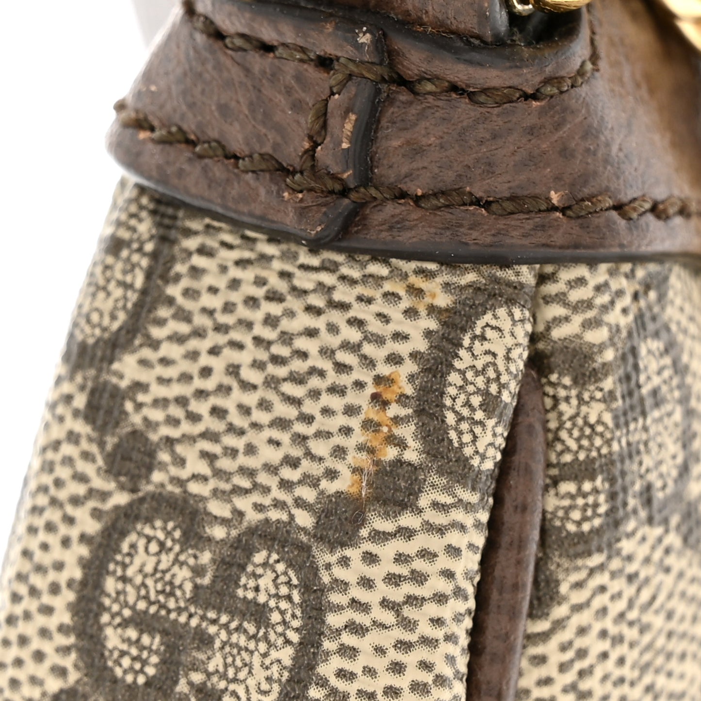 GG Supreme Monogram Textured Dollar Calfskin Web Small Ophidia GG Handbag Beige Ebony New Acero