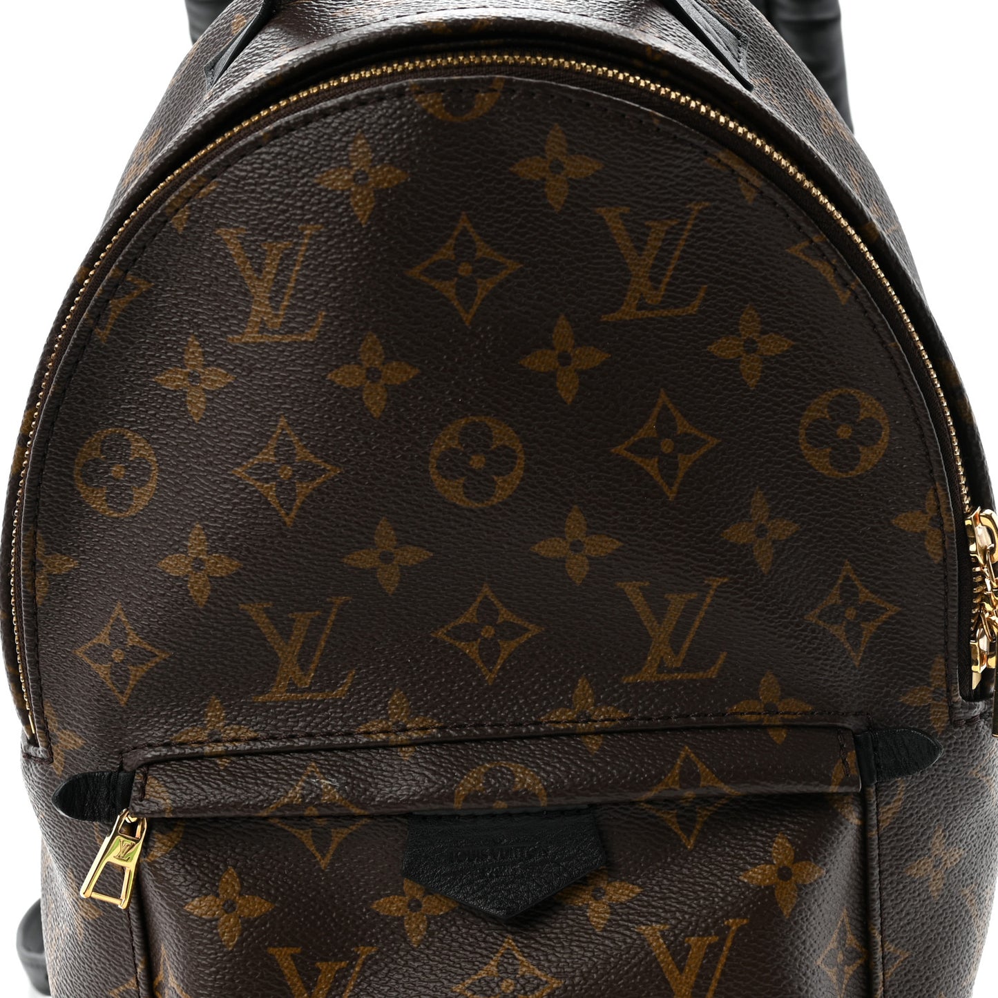 Monogram Palm Springs Backpack PM