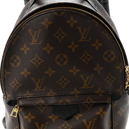Louis Vuitton Monogram Palm Springs Backpack PM 7 of 9