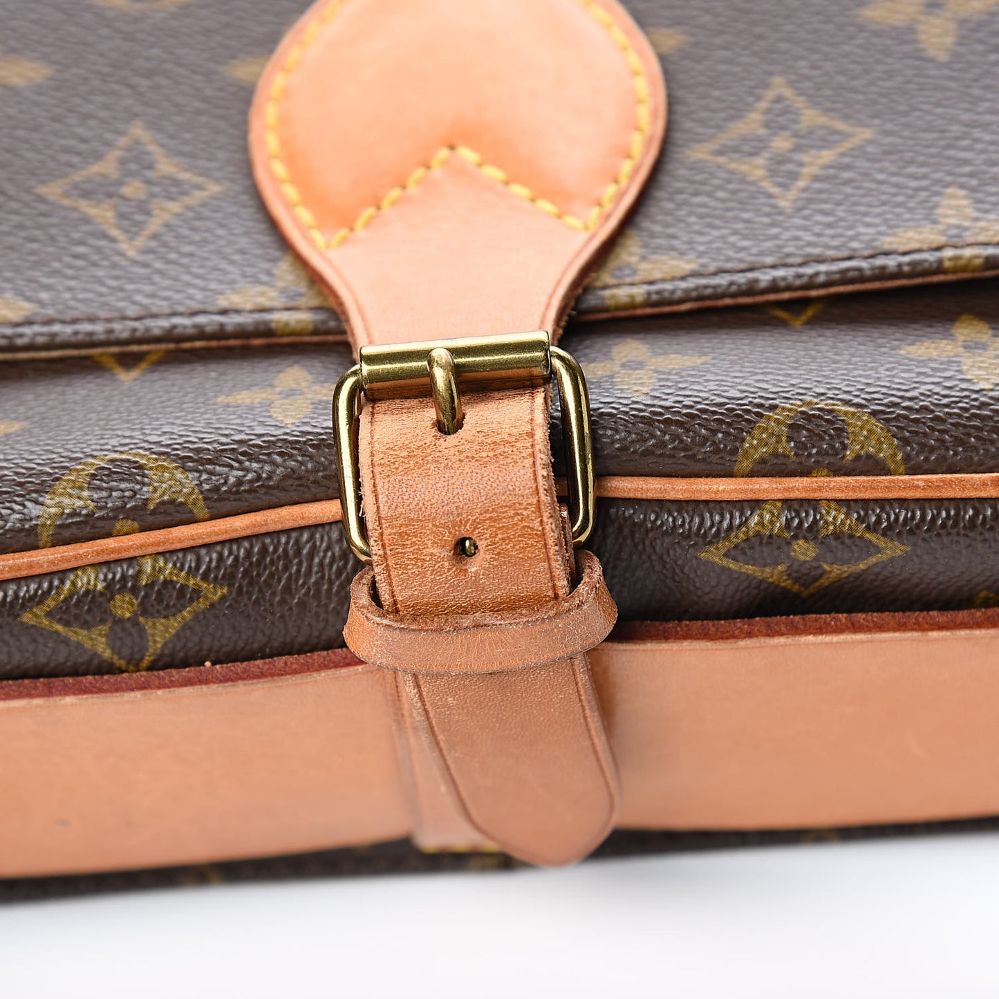 Monogram Cartouchiere 22