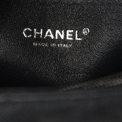 Chanel Caviar Lizard Quilted Medium Coco Handle Flap Black 5 of 12