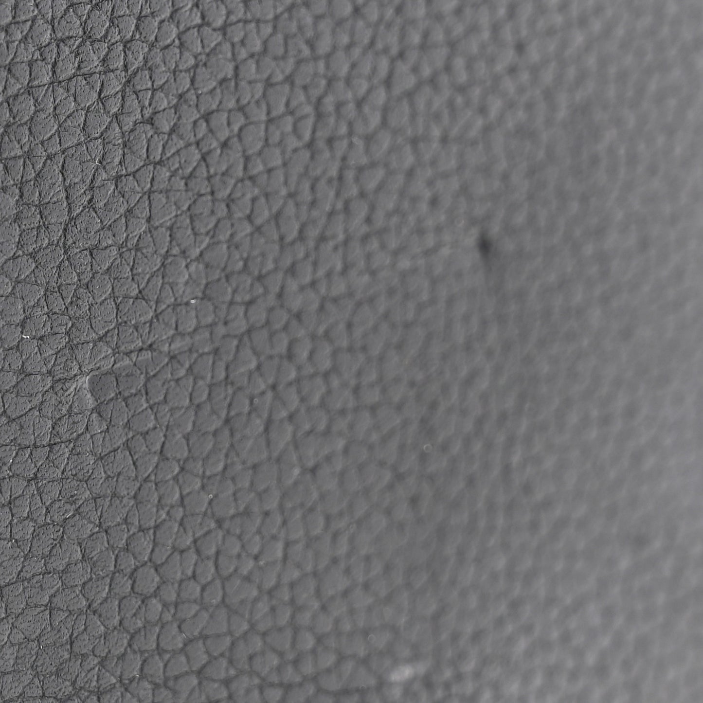 Grained Calfskin Patricia Park Avenue Crossbody Bag Black