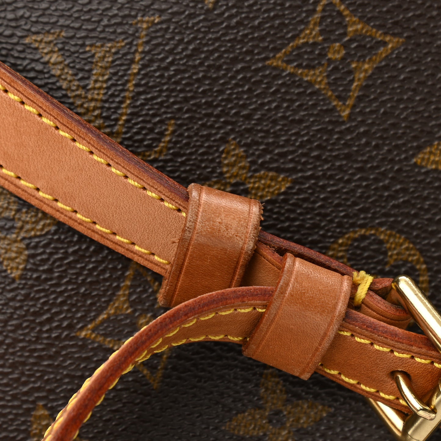 Monogram Musette Tango