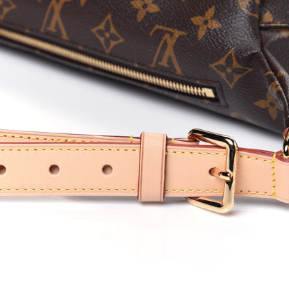 Louis Vuitton Monogram Bumbag 10 of 11