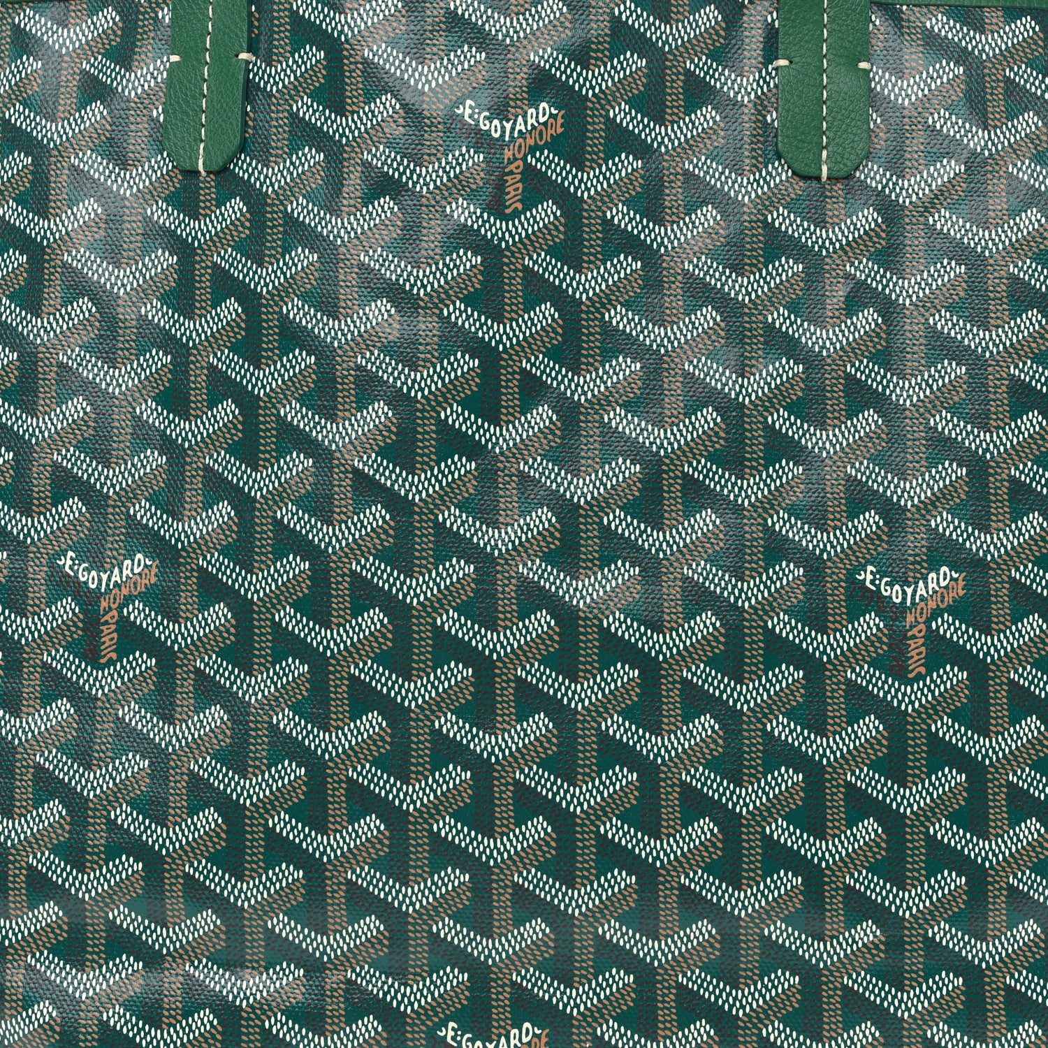 Goyard Goyardine Saint Louis PM Green 9 of 12