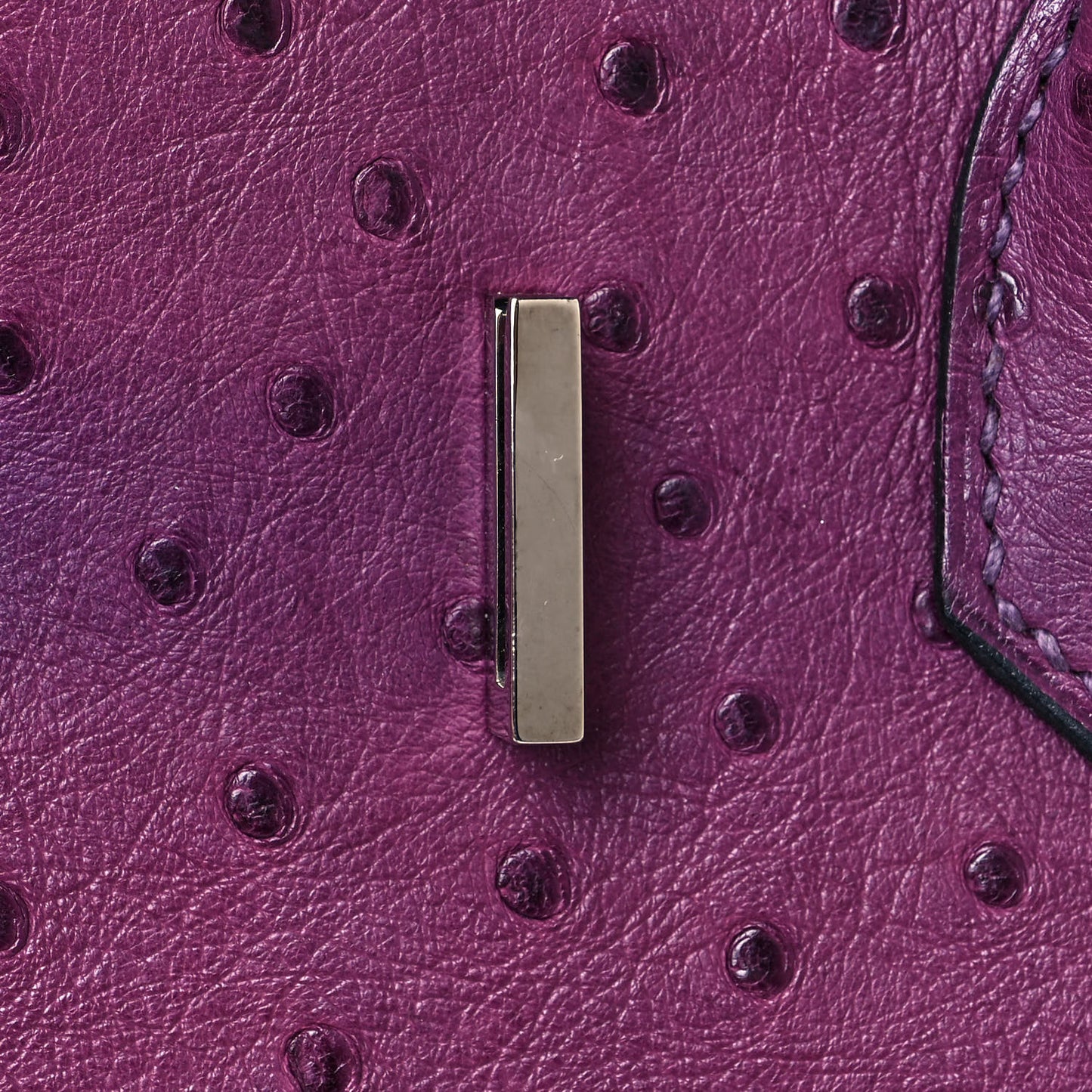 Ostrich Birkin 30 Violine
