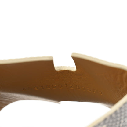 Hermes Lizard Mens Izmir Sandals 44 Ombre 9 of 9