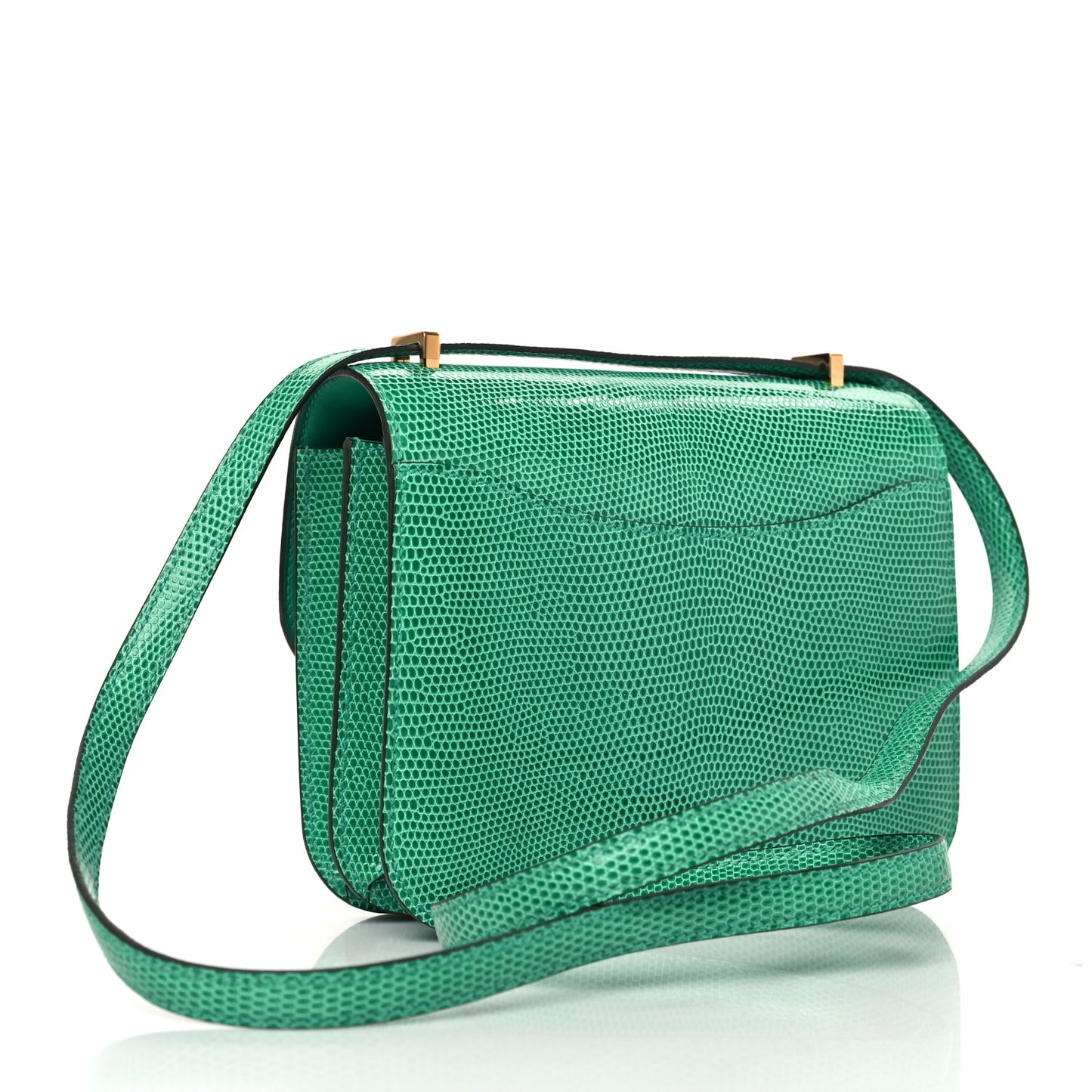 Lizard Constance 18 Menthe