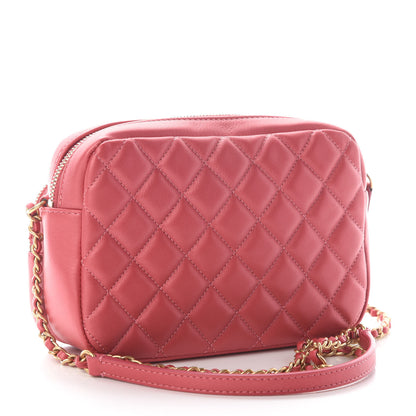 Chanel Calfskin Quilted Day Trips Camera Case Pink 3 of 9