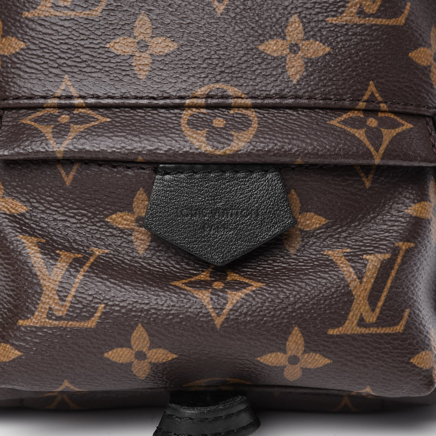 Monogram Palm Springs Backpack Mini