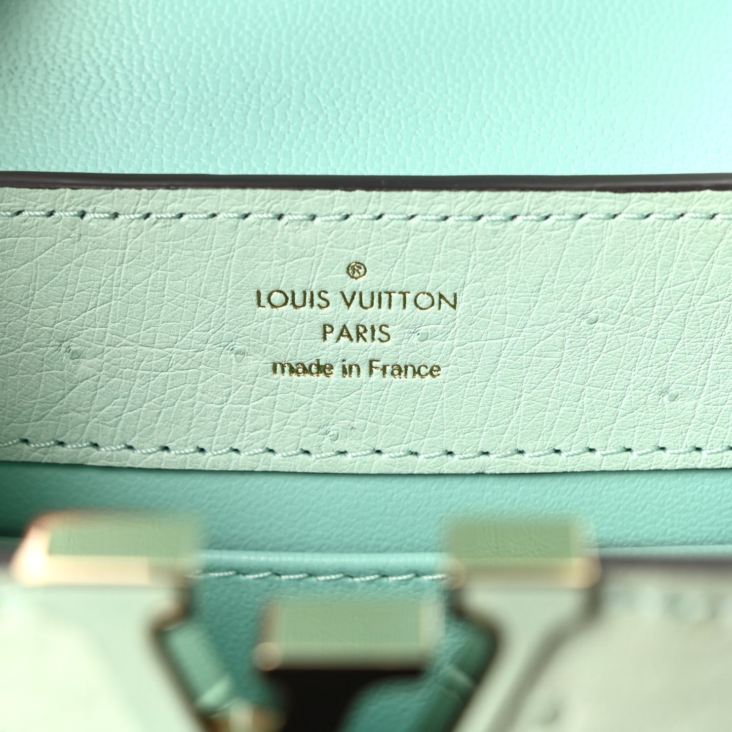 Ostrich Capucines Mini Vert Celadon
