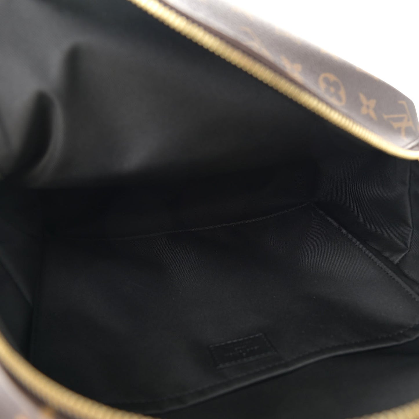 Monogram Palm Springs Backpack MM
