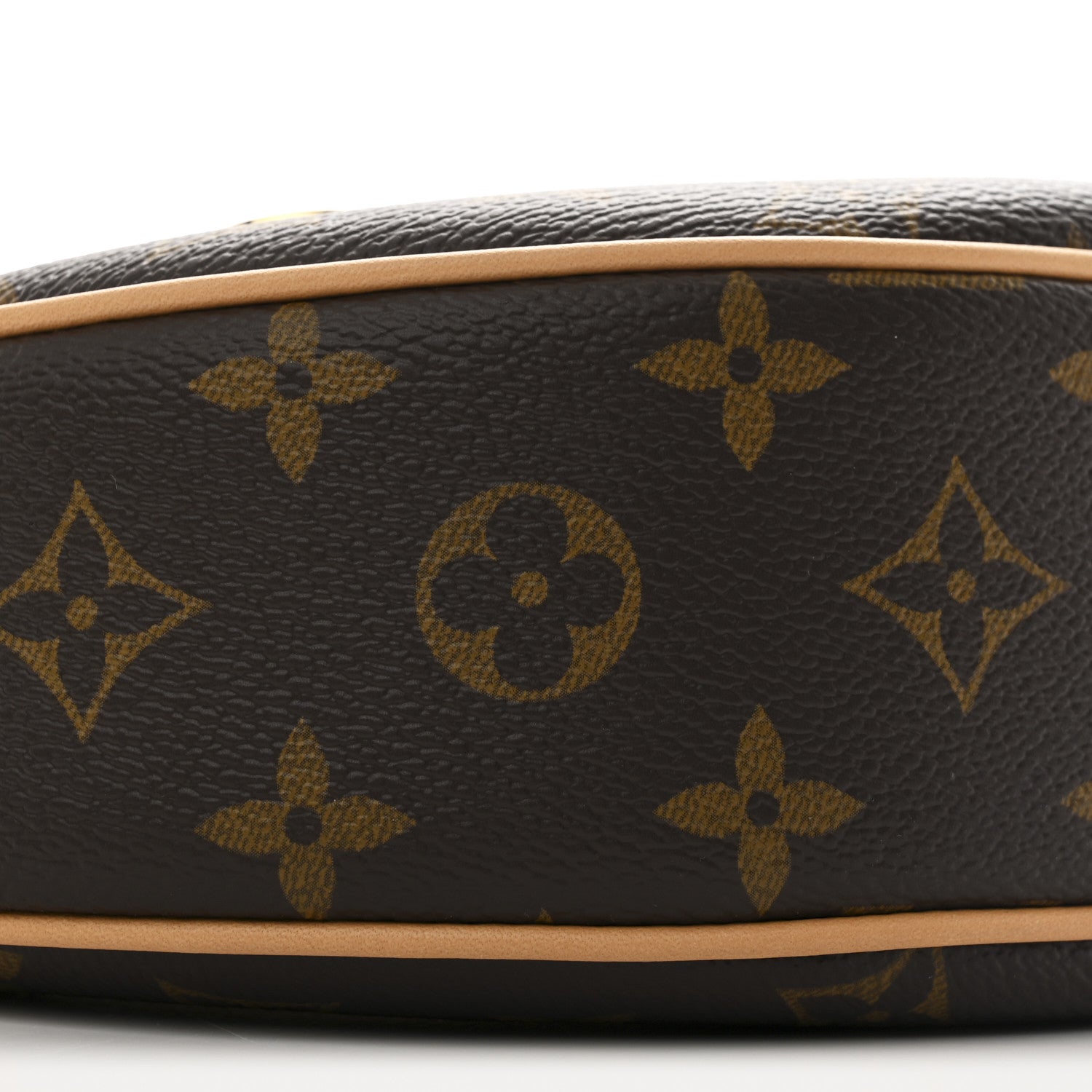 Louis Vuitton Monogram Loop 8 of 9