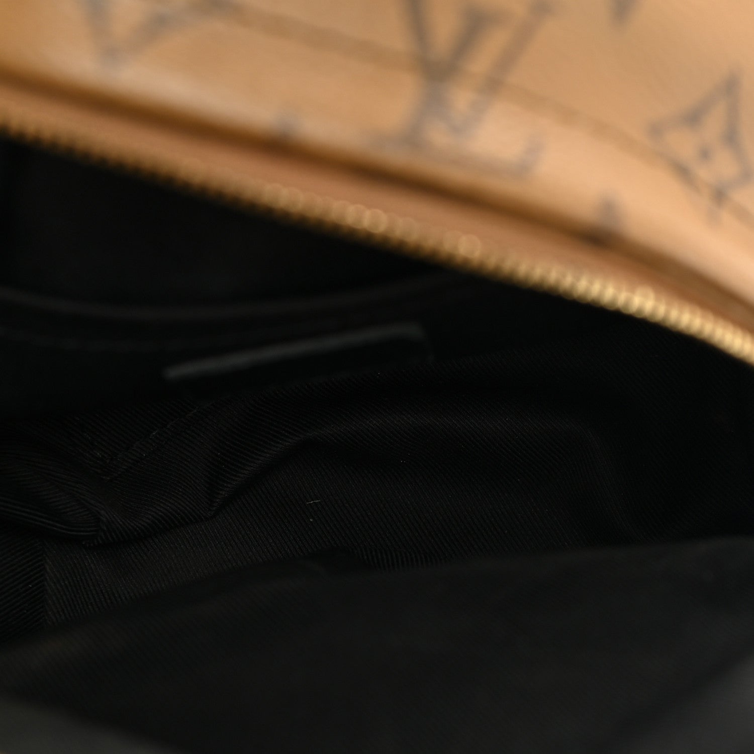 Louis Vuitton Reverse Monogram Palm Springs Backpack Mini 5 of 9