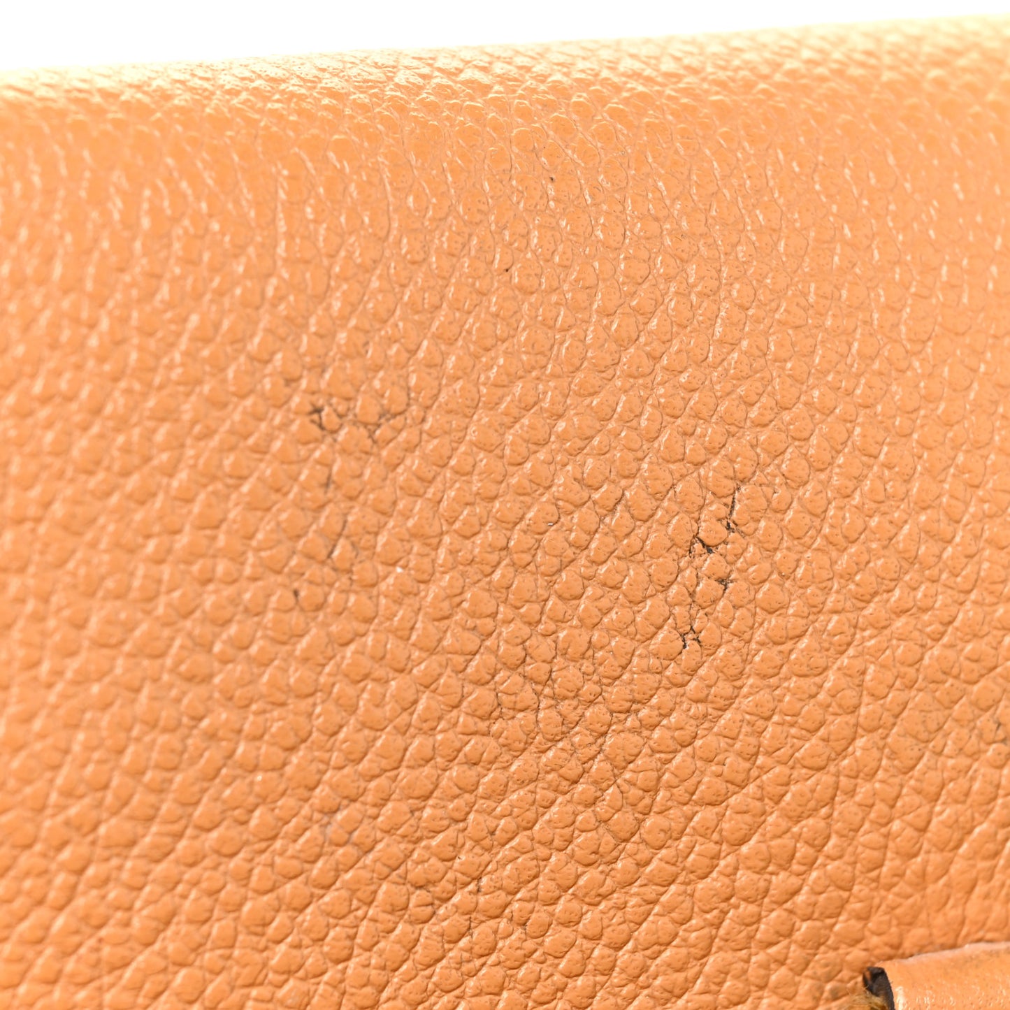 Monogram Venus Epice
