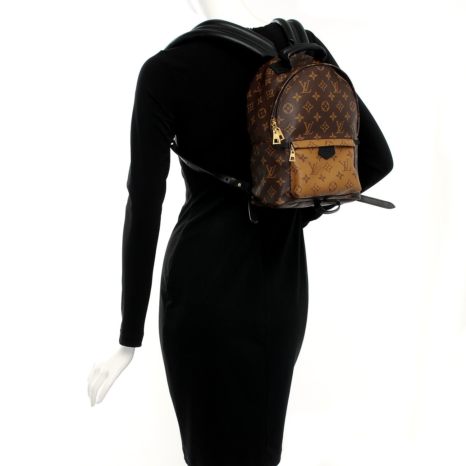 Louis Vuitton Reverse Monogram Palm Springs Backpack PM 2 of 8