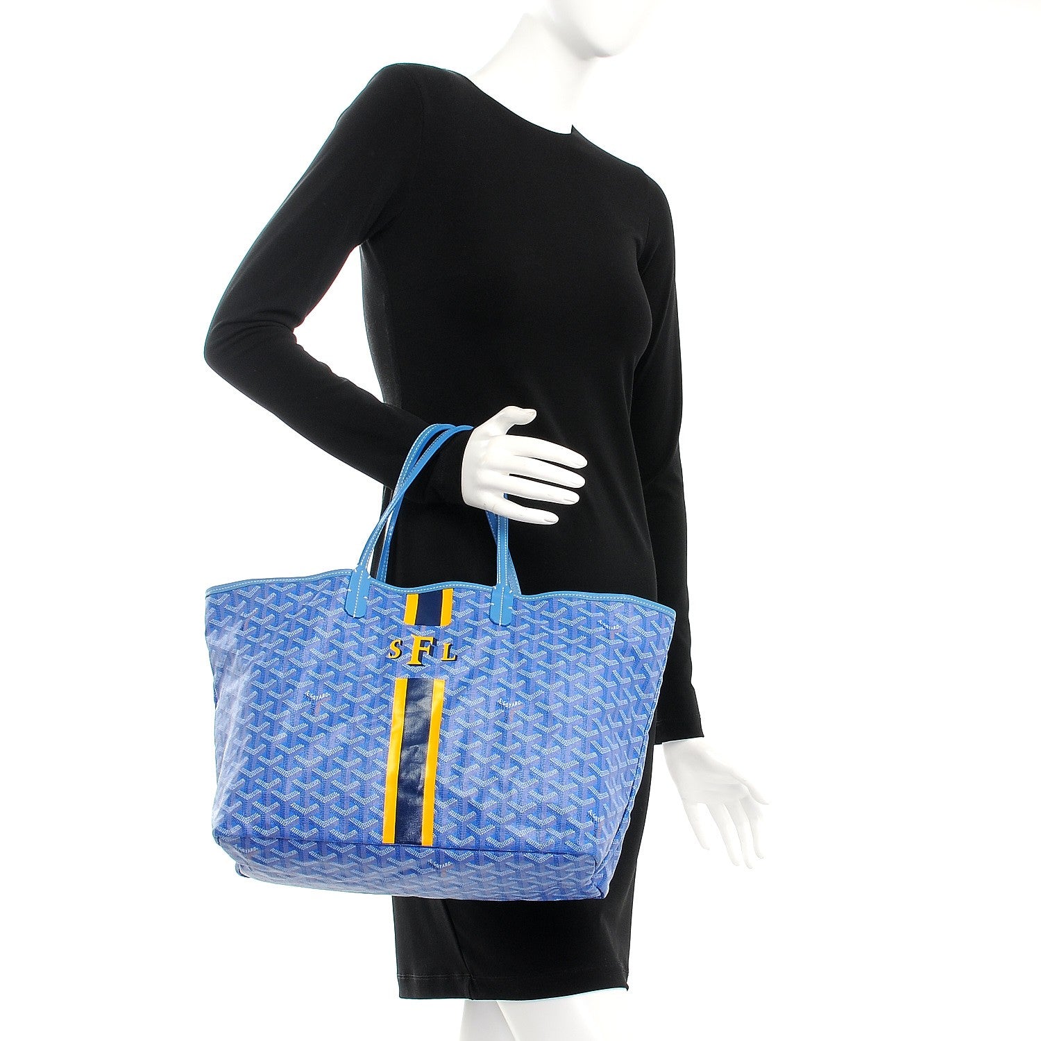 Goyard Goyardine Saint Louis PM Sky Blue 2 of 8