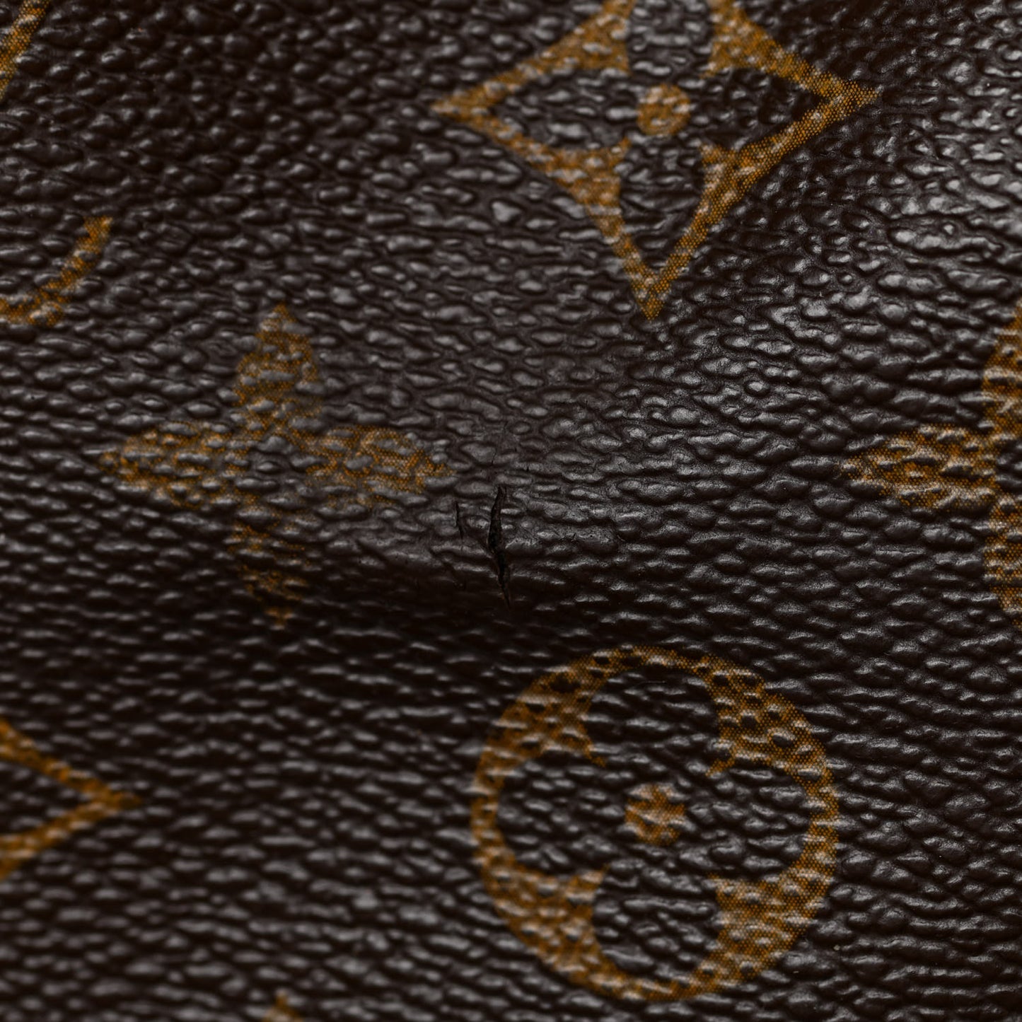 Monogram Delightful MM