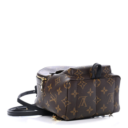 Louis Vuitton Monogram Palm Springs Backpack Mini 3 of 5