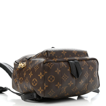 Louis Vuitton Monogram Palm Springs Backpack PM 3 of 4