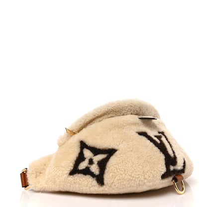 Louis Vuitton Shearling Monogram LV Ski Bumbag Cream Brown 4 of 8