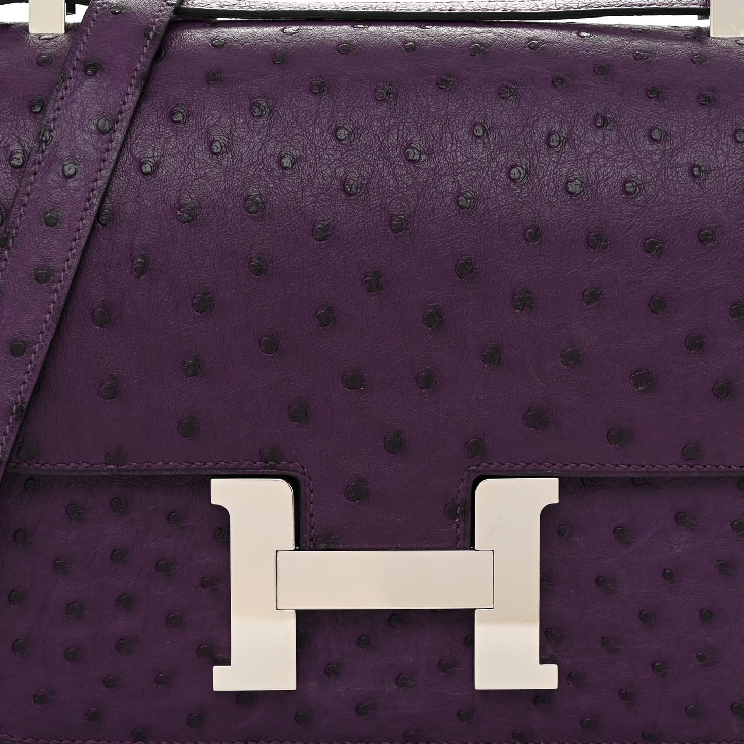 Ostrich Constance 24 Violine