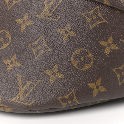 Louis Vuitton Monogram Bumbag 8 of 8
